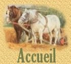 Accueil